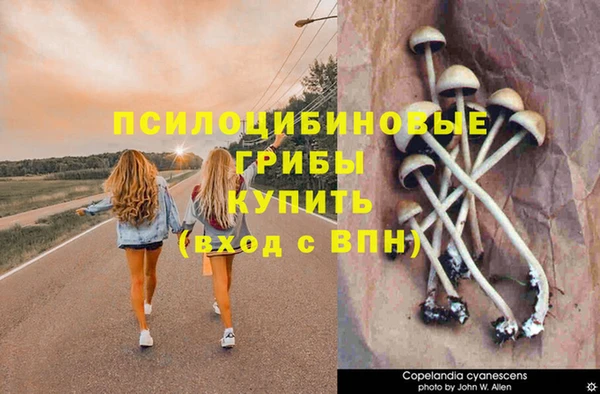 мяу мяу кристалл Нефтегорск