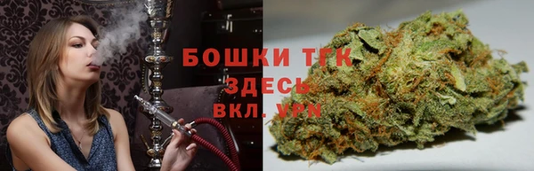 гидра Наволоки