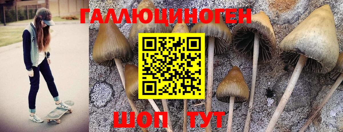 Галлюциногенные грибы MAGIC MUSHROOMS Советск