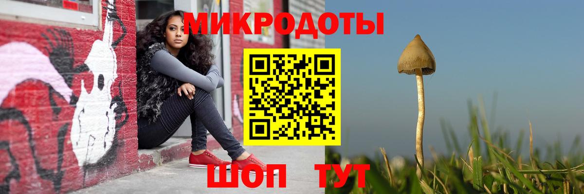 Галлюциногенные грибы Cubensis  Вход с VPN  Советск 